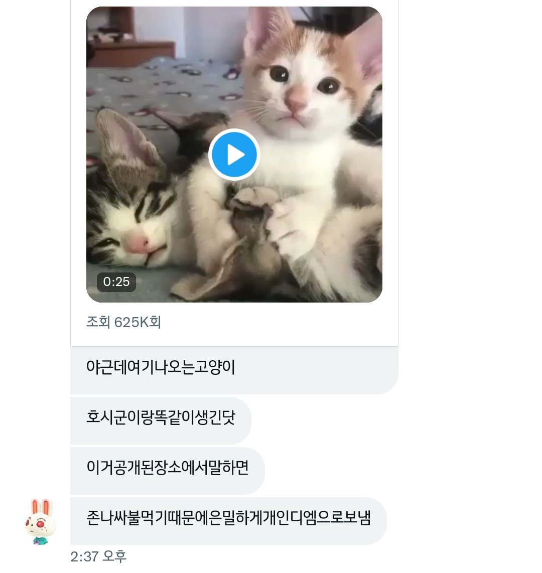 호빵 tweet media