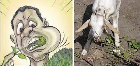 yourself           vs.         what the society see
