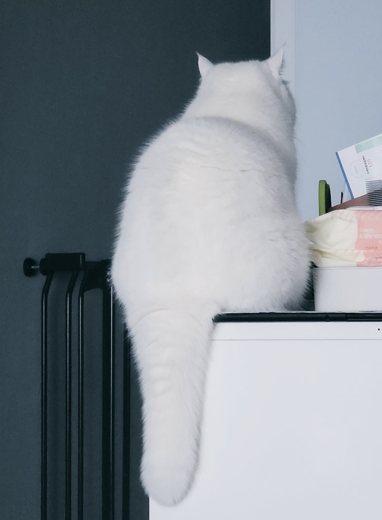 ffff (@abcdef4ris) / Twitter