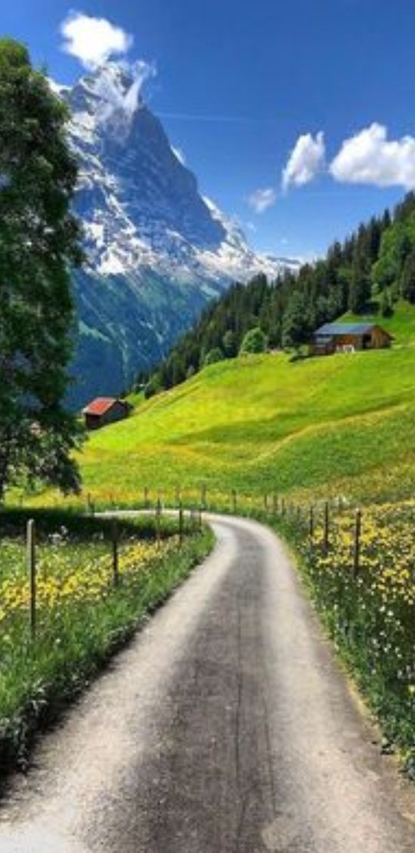 𝙉𝙞𝙪𝙧𝙖 𝘾𝙖𝙨𝙩𝙧𝙞𝙡𝙡𝙤́𝙣 🇧🇷 tweet media