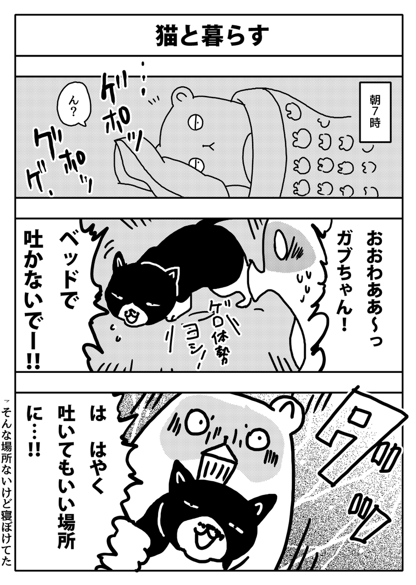 #漫画が読めるハッシュタグ
#猫のいる暮らし 
#猫
#漫画 
今朝 