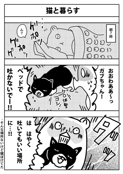 #漫画が読めるハッシュタグ
#猫のいる暮らし 
#猫
#漫画 
今朝 