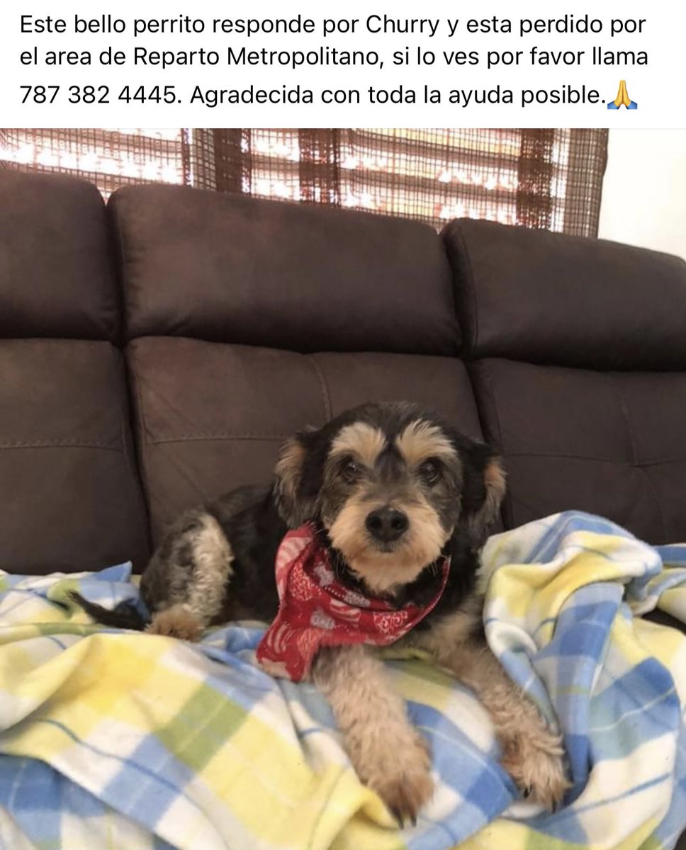 karla_jfeliz's tweet photo. PLEASE PLEASE ES DE UN FAMILIAR.
AYÚDENME A REGAR LA VOZ 💔 https://t.co/72I0LrYpy3