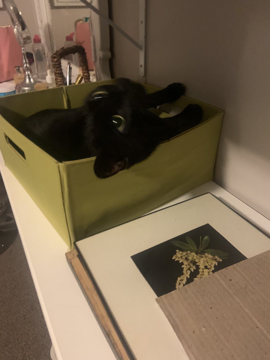 blazin_Asian_'s tweet photo. This is his box now https://t.co/hzkFor8Pxb