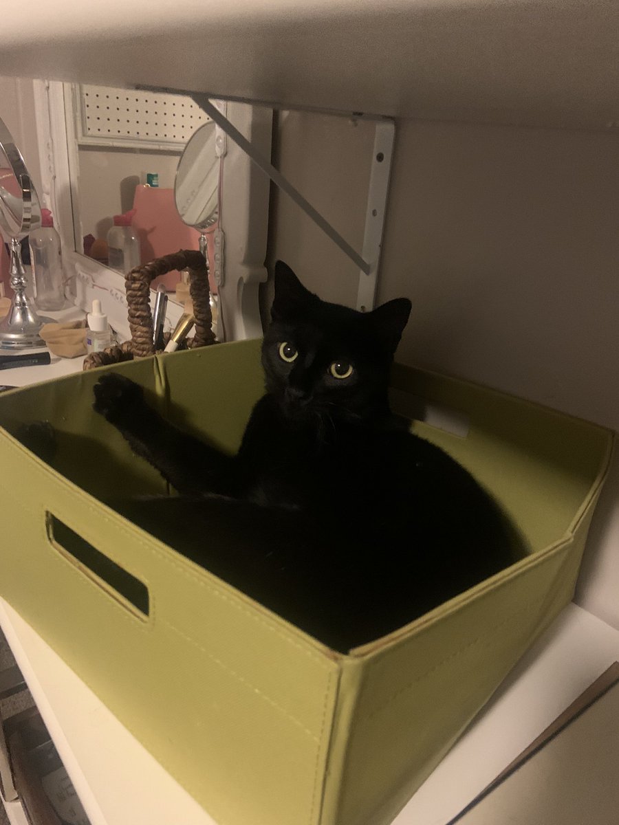 blazin_Asian_'s tweet photo. This is his box now https://t.co/hzkFor8Pxb