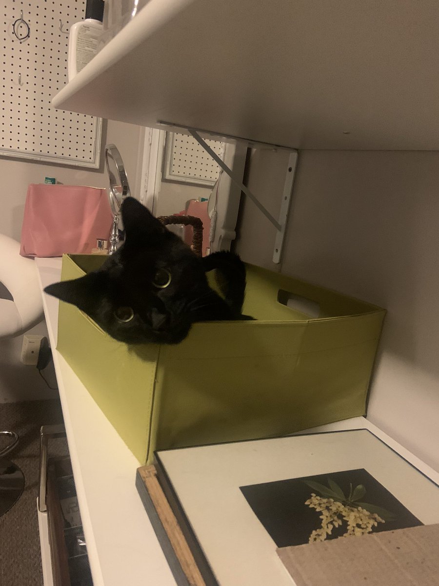 blazin_Asian_'s tweet photo. This is his box now https://t.co/hzkFor8Pxb