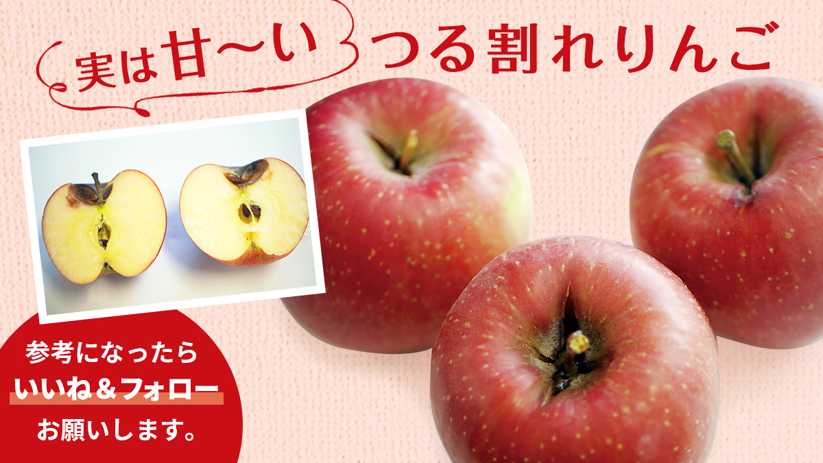 らでぃっしゅぼーや 公式 11月毎日更新中 野菜を無駄にしないワザ30 Vol 25 実は甘 いつる割れりんご 沢山雨が降った時に勢いよく成長した結果 芯が果肉の成長に追い付かず割れてしまうことが でもつる割れは蜜が入りやすくなり 実は らでぃっしゅぼーや 公式 11月毎日更新中 野菜を無駄にしないワザ30 Vol 25 実は甘 いつる割れりんご 沢山雨が降った時に勢いよく成長した結果 芯が果肉の成長に追い付かず割れてしまうことが でもつる割れは蜜が入りやすくなり 実は