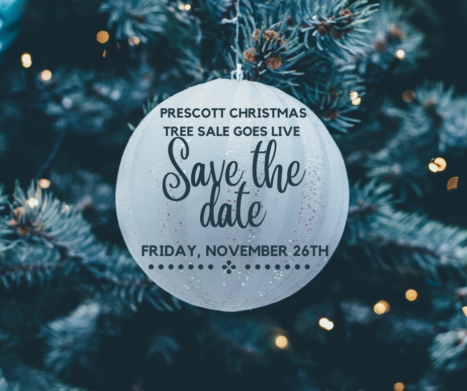 CommunityPfca's tweet image. It's that time of year again! The PFCA Tree Lot Fundraiser is back and we're gearing up to get the ball rolling in the next few days! 

Keep your eye out for website link and pick-up hours in the coming days. Plan on bringing home a Prescott Tree again this year!