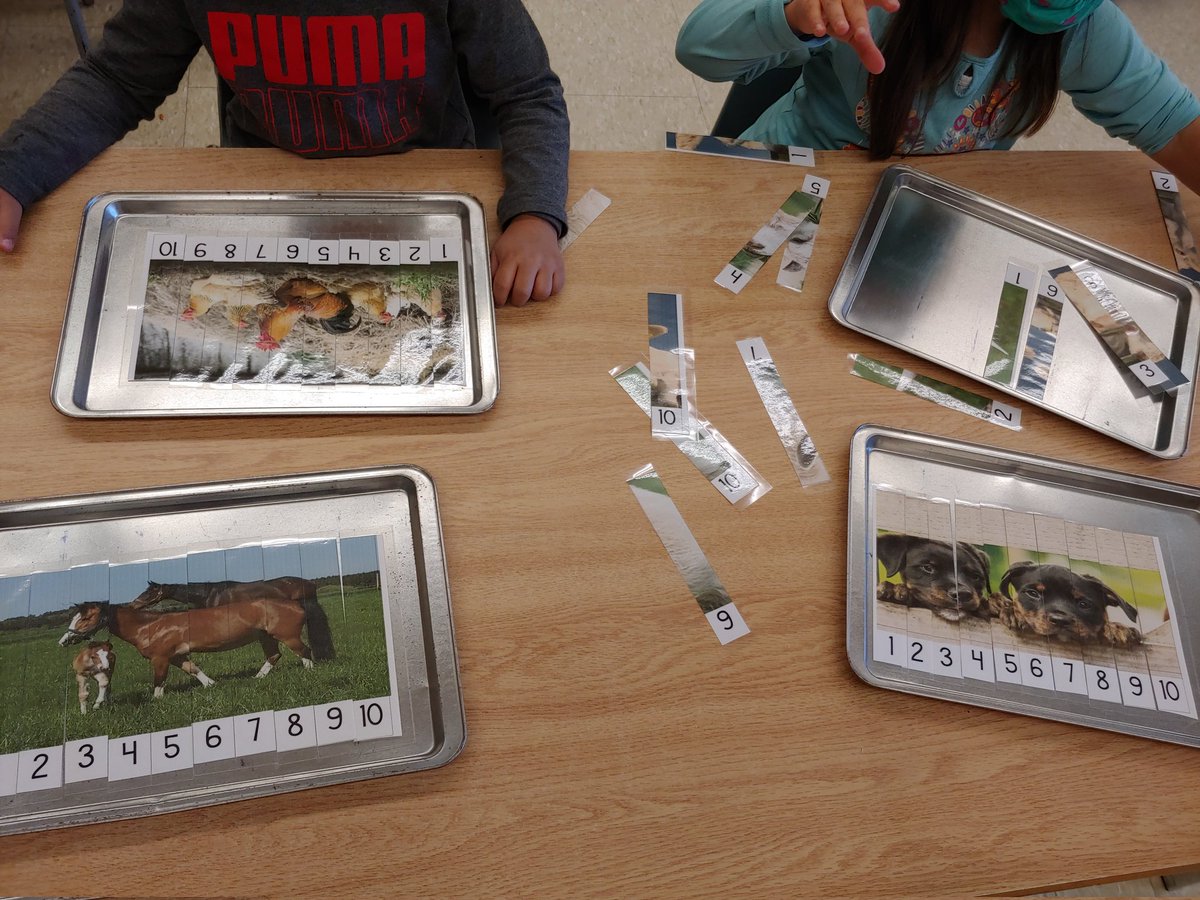 Ms Rutledge tweet media