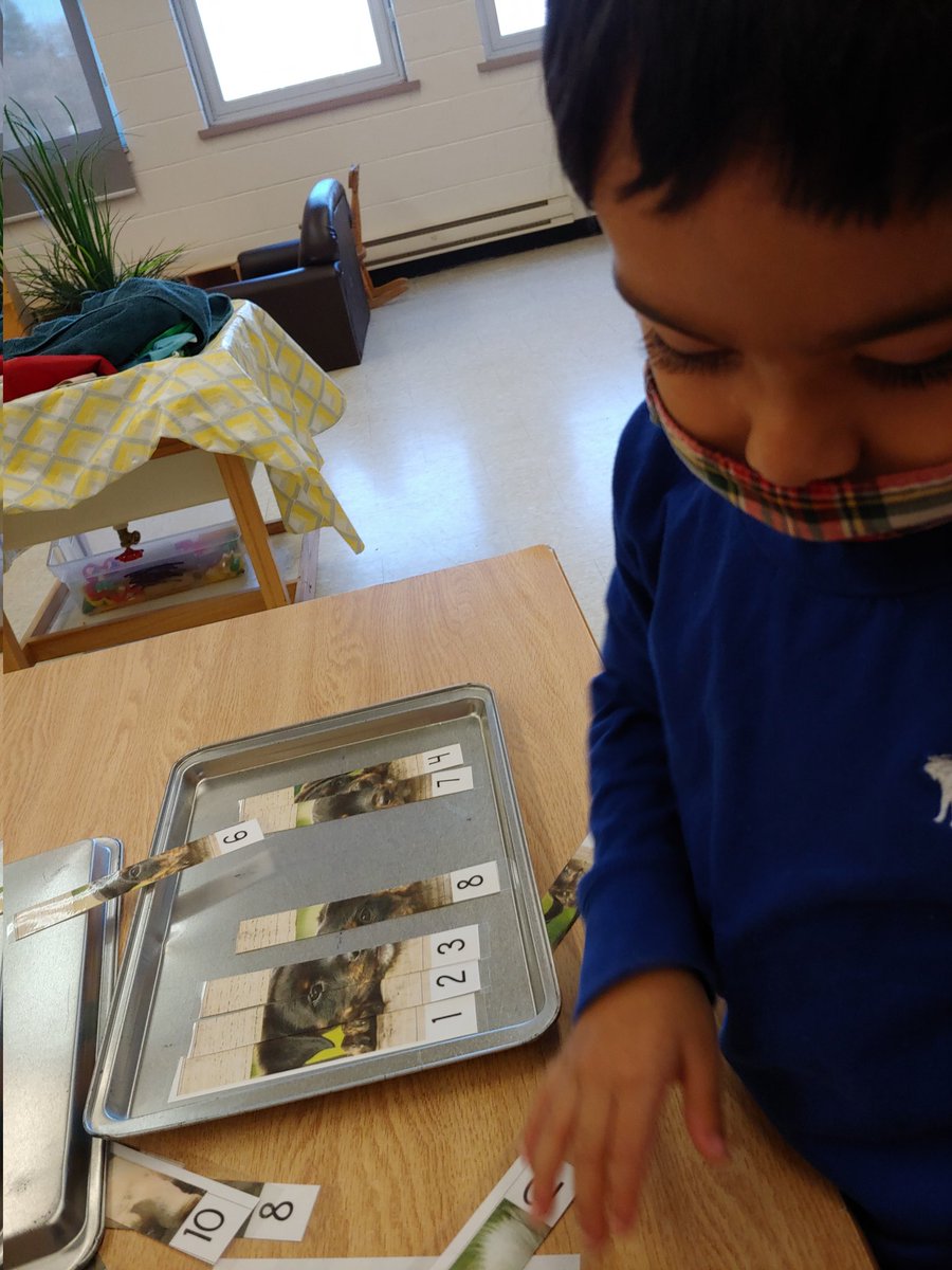 Ms Rutledge tweet media