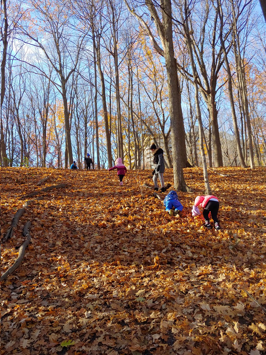 Ms Rutledge tweet media