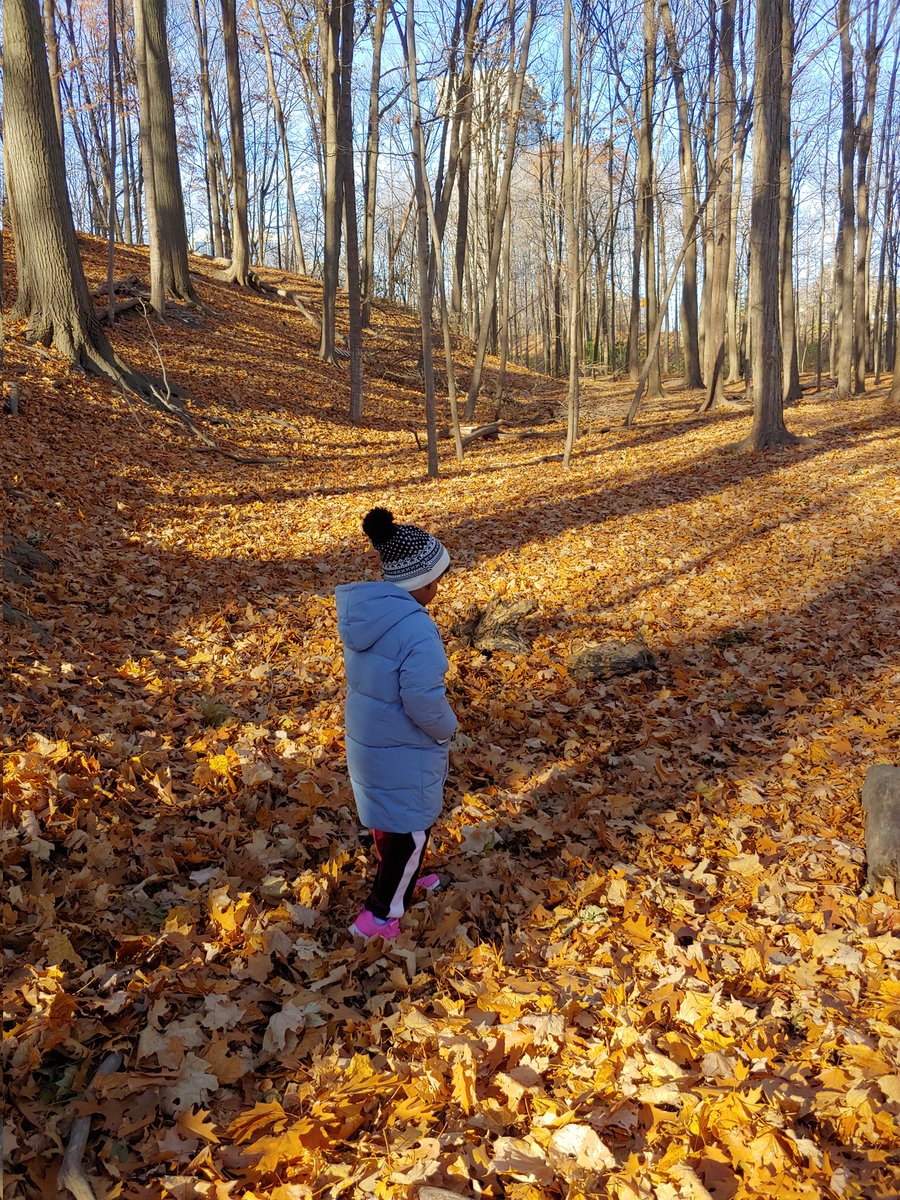 Ms Rutledge tweet media