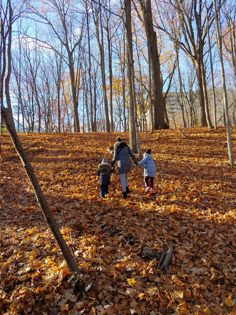 Ms Rutledge tweet media