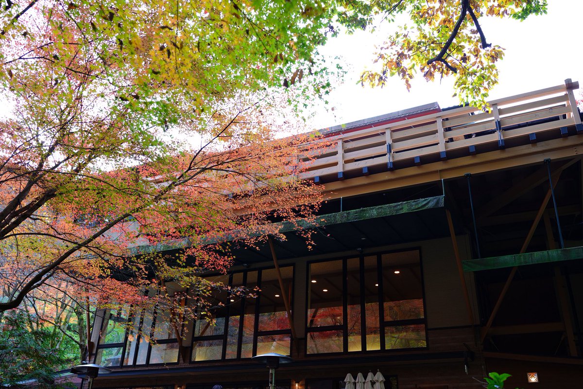 y_yoshimi28's tweet photo. #café #ryoan #coffee #sigmafp #sigma35mmf14dgdnart #了庵 #鬼岩温泉 #岐阜カフェ #紅葉
🍁☕️♨️
良きであった https://t.co/MQTB73iLmY