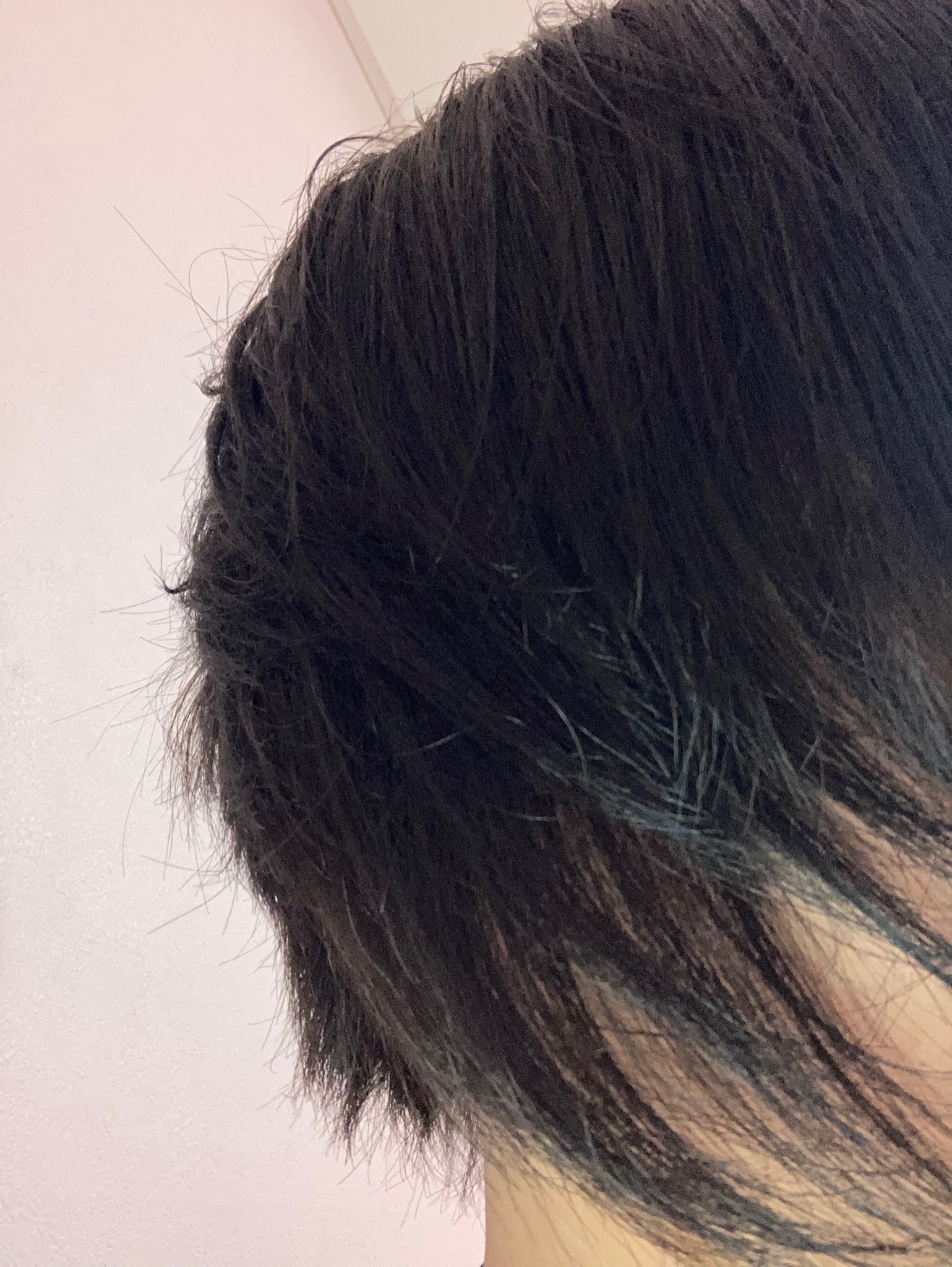 夢見るブルージュ Twitter Search Twitter