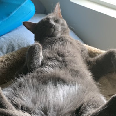 moretraves's tweet photo. #NewProfilePic https://t.co/n5Y6lD6Qjx