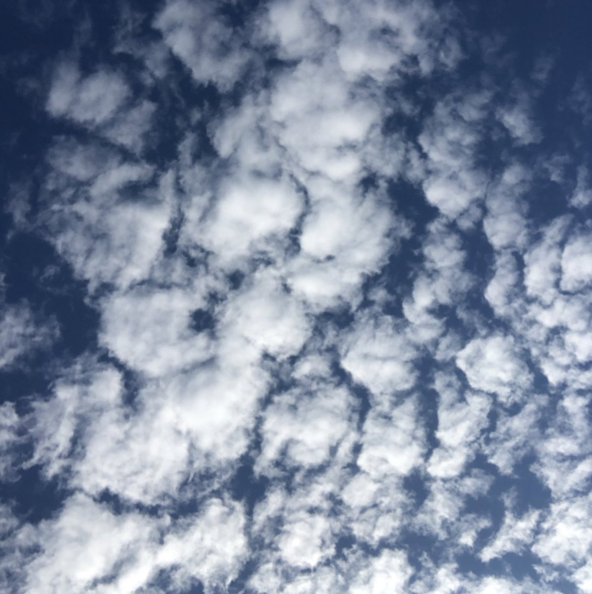 ให้ท้องฟ้าช่วยดูแลเธอให้ดี