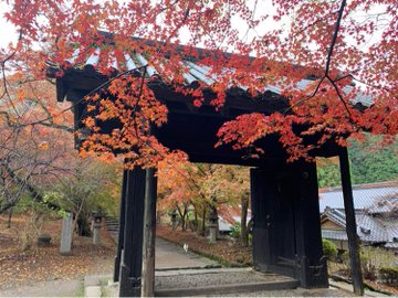 秋月城跡の紅葉の21年見頃時期やライトアップは 渋滞 混雑やアクセスや駐車場は そらいろ 日本が魅せる多彩な表情