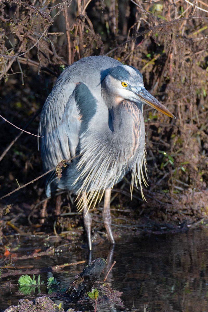 Dwayne H. Ewers, Sr. tweet media