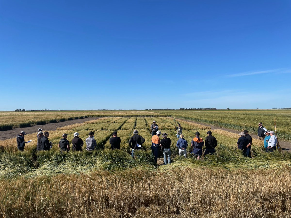 TerraAg2's tweet photo. Great turn out at the Terra Ag Premium Product Trial 🙌🏻 we love seeing local farmers get behind the latest Ag innovation!
Thanks to @BASF_Agro_Au for partnering with us and our agronomist @simon_miller17 for coordinating the trial ✅
#terraag #farmingtrial https://t.co/tonR3Wgxfl