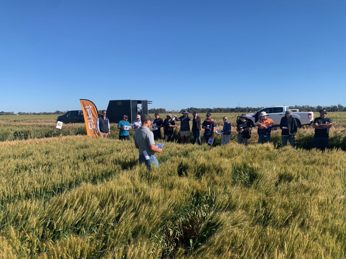 TerraAg2's tweet photo. Great turn out at the Terra Ag Premium Product Trial 🙌🏻 we love seeing local farmers get behind the latest Ag innovation!
Thanks to @BASF_Agro_Au for partnering with us and our agronomist @simon_miller17 for coordinating the trial ✅
#terraag #farmingtrial https://t.co/tonR3Wgxfl