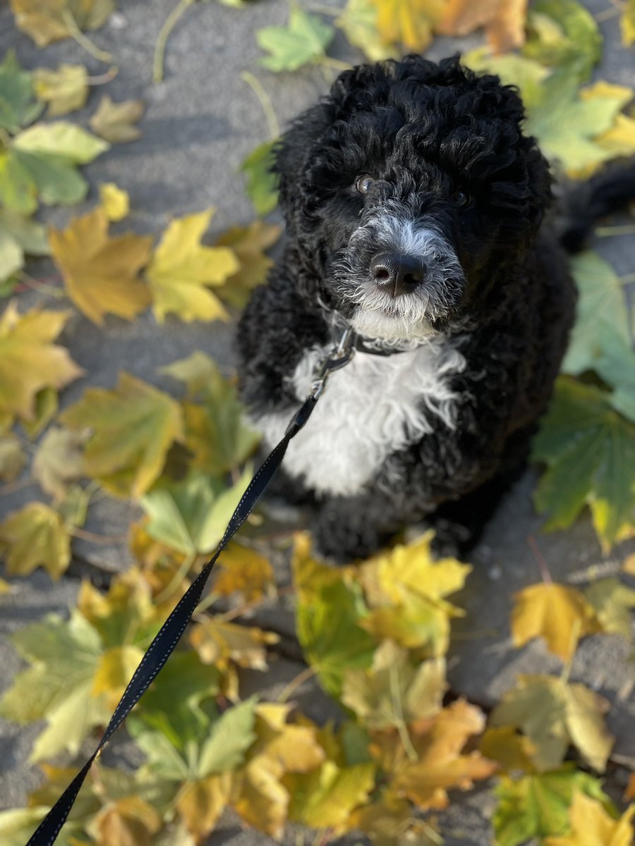 Rob Rainford tweet media