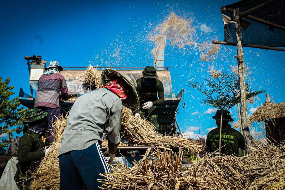 Pakpoom21901954's tweet photo. ทหารราบ….ฝ่าลมสีข้าว....ช่วยชาวนา 🪖🌾 #ทหารของประชาชน #ทหารมีไว้ทําไม https://t.co/CGkGaSFPLY