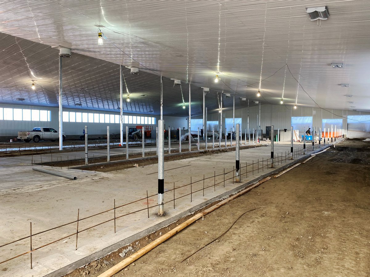 dairylanesystem's tweet photo. Great progress is being made at Chris Adie Farms near Regina, Saskatchewan. This barn features 2 x GEA R9500 Milking Robots, Jourdain Stabling, Legend Rubber & a GEA Manure pump.
#DLSdairy #DLSrobotics #dairyfarmers #dairyfarming #dairycows #dairy #agriculture #milk #cowcomfort https://t.co/iFHyY99rDl