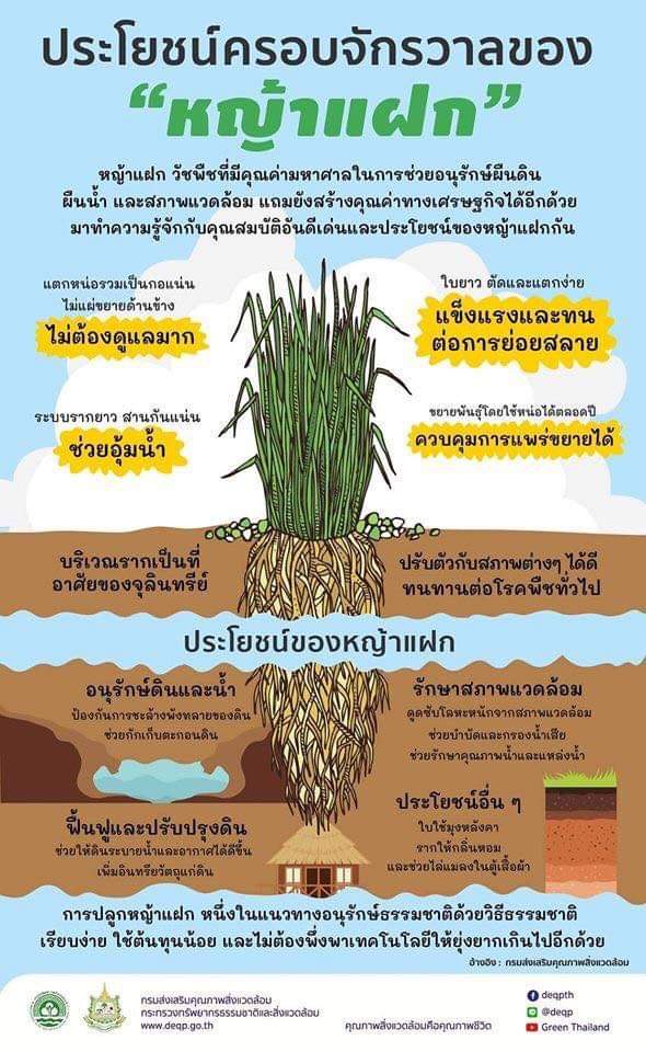 totomi1412's tweet photo. ความรู้เกี่ยวกับ หญ้าแฝกครับ 
#หญ้าแฝก 
#ในหลวงฟื้นดินประชาชนฟื้นชีวิต 
#แผ่นดินทอง https://t.co/tyS35D7PLU