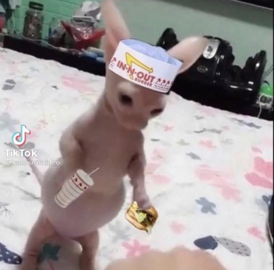 me re-emerging after months of silence to say my piece