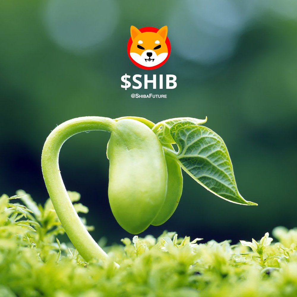 vegabon7's tweet photo. #SHIBA the Great is finally landing on the Korea Exchange.  It will be listed on @Korbit.  We are delighted to welcome many SHIBA holders.  welcome~~~ https://t.co/86cOKukIvn