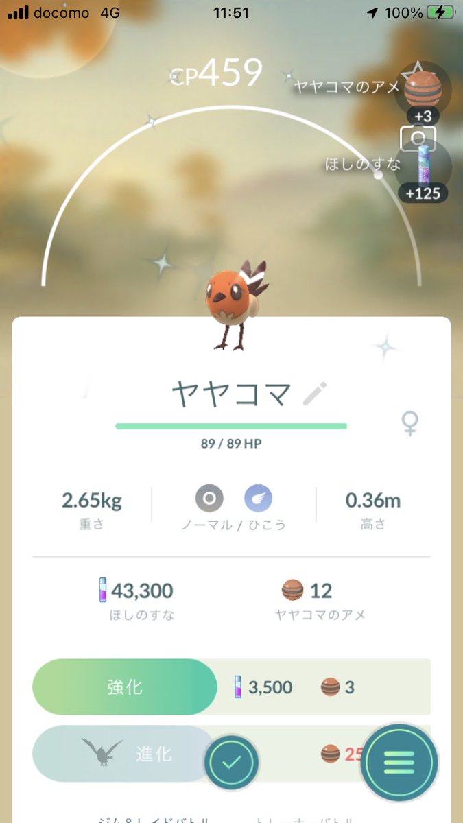 ポケモンgo ヤヤコマの色違い 入手方法と実装状況 攻略大百科