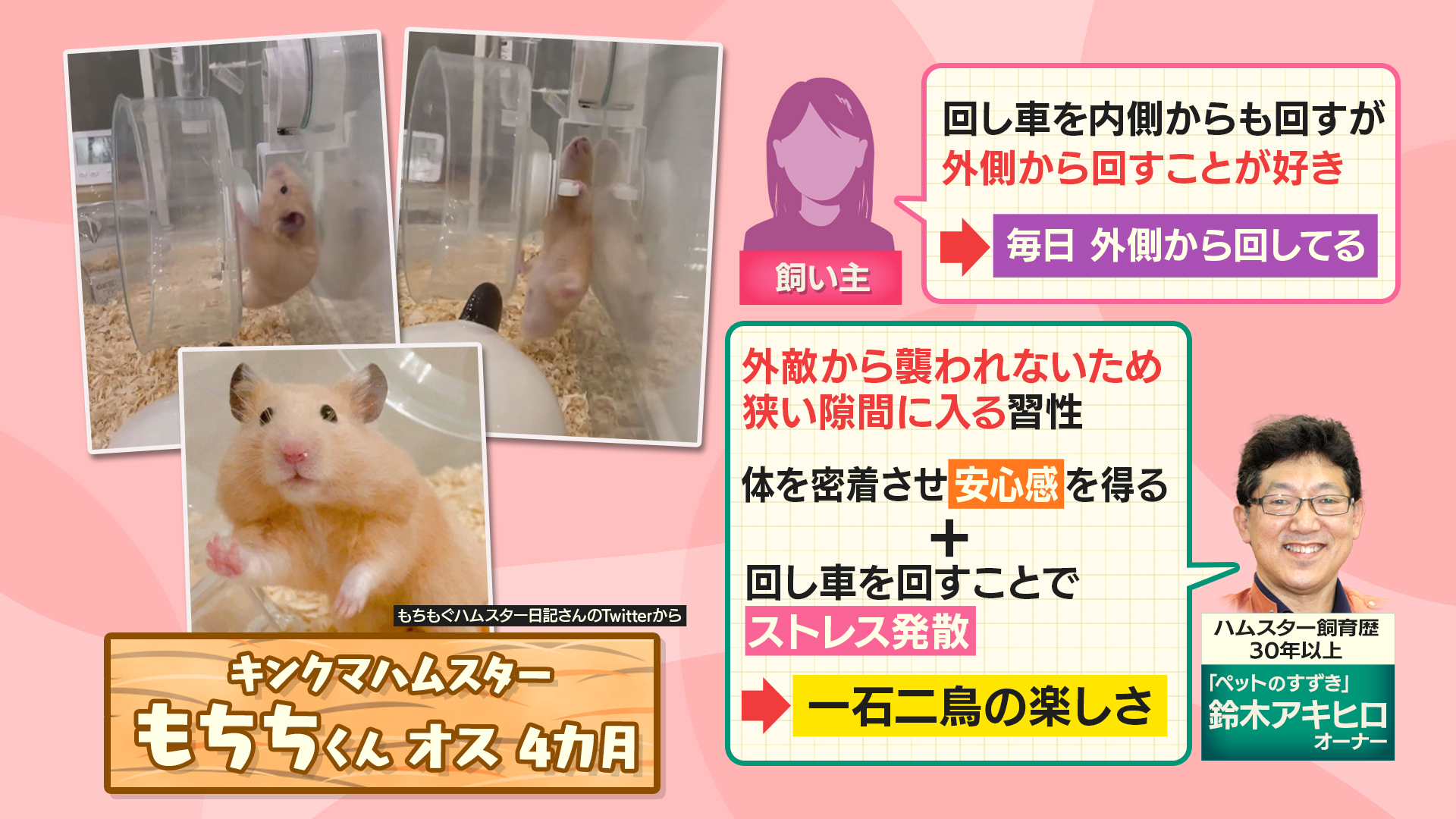 羽鳥慎一モーニングショー on X: 羽鳥慎一モーニングショー on X: