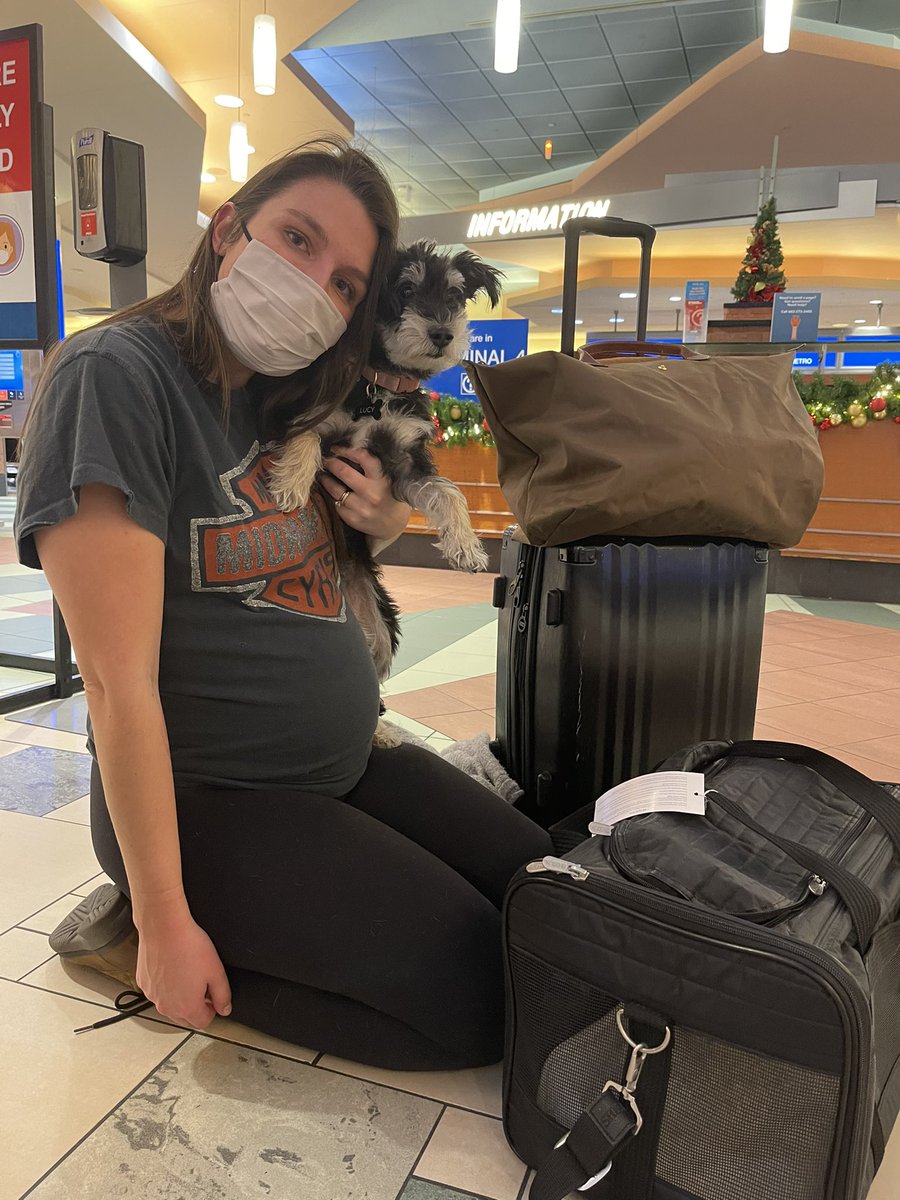 Had to leave my dog and husband behind for my #thanksgiving flight. #phx #americanair supervisor claimed Lucy is too big to fly …yet she’s a frequent <a href="/americanair/">americanair</a> flyer since I’m a gold member.