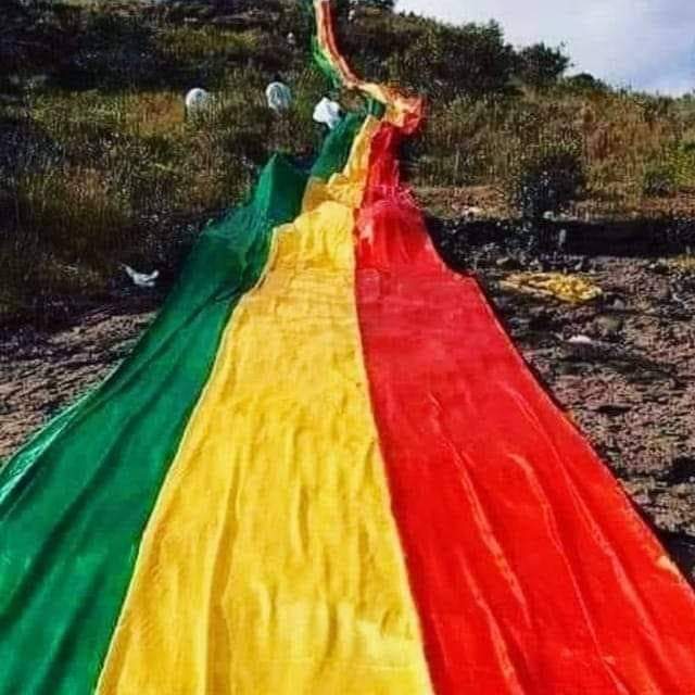 JerryLeje's tweet photo. ቀለምሽ ደምን ያሞቃል ልብን ይሰርቃል ስምሽ ይጣፍጣል ሀገሬ እንደናቴ እቅፍ ጉያሽ ይሞቃል ከኢትዮጵያ ጋር ወደ ፊት💚🌻💋🇪🇹💪 #nomore #CNNFakeNews #አትንኩን #TPLFTerroristGroup #EthiopiaPrevails #oneafrica #UnitedAfrica https://t.co/r41PqEA4LE