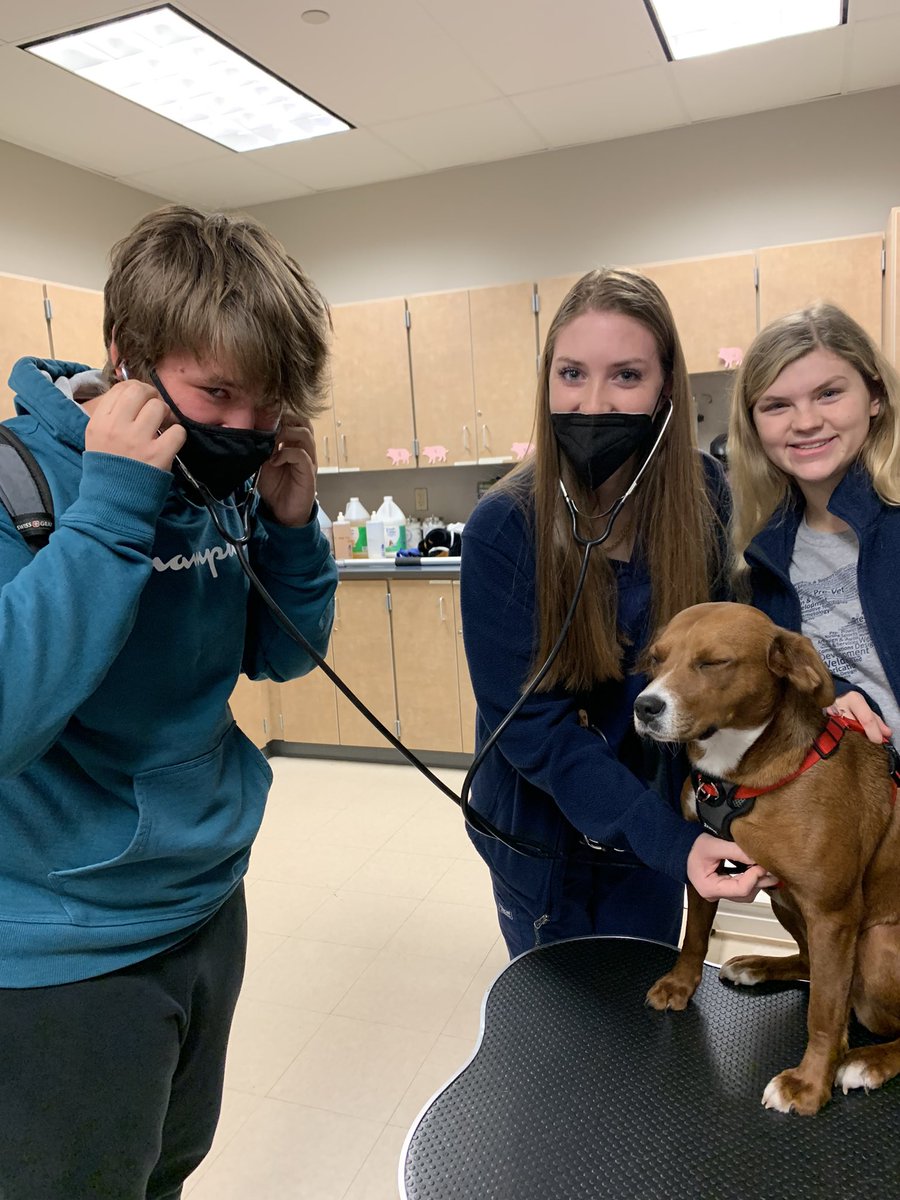 tollesvettech's tweet photo. Welcome to Tolles Hilliard Sophomores!  Pre Vet Tech was pretty busy today, thank you for visiting🤗we hope to see you at Launch night Thursday Dec 2nd! https://t.co/3k88RrVxC3