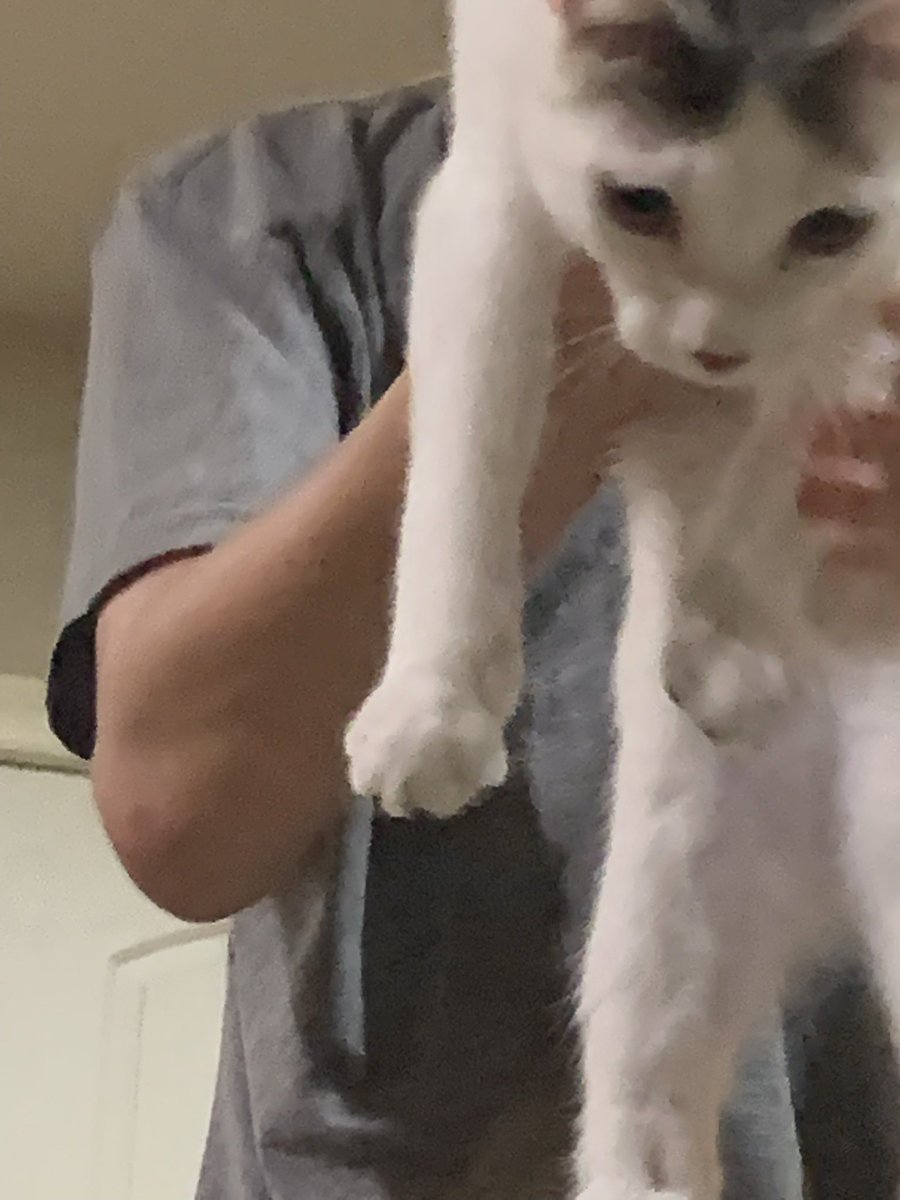 PhrogSam's tweet photo. @Small_M0th you’re probably (hopefully) feeling better by now but just in case, here’s some pics of my second favorite type of pussy https://t.co/44G4Fq64yG