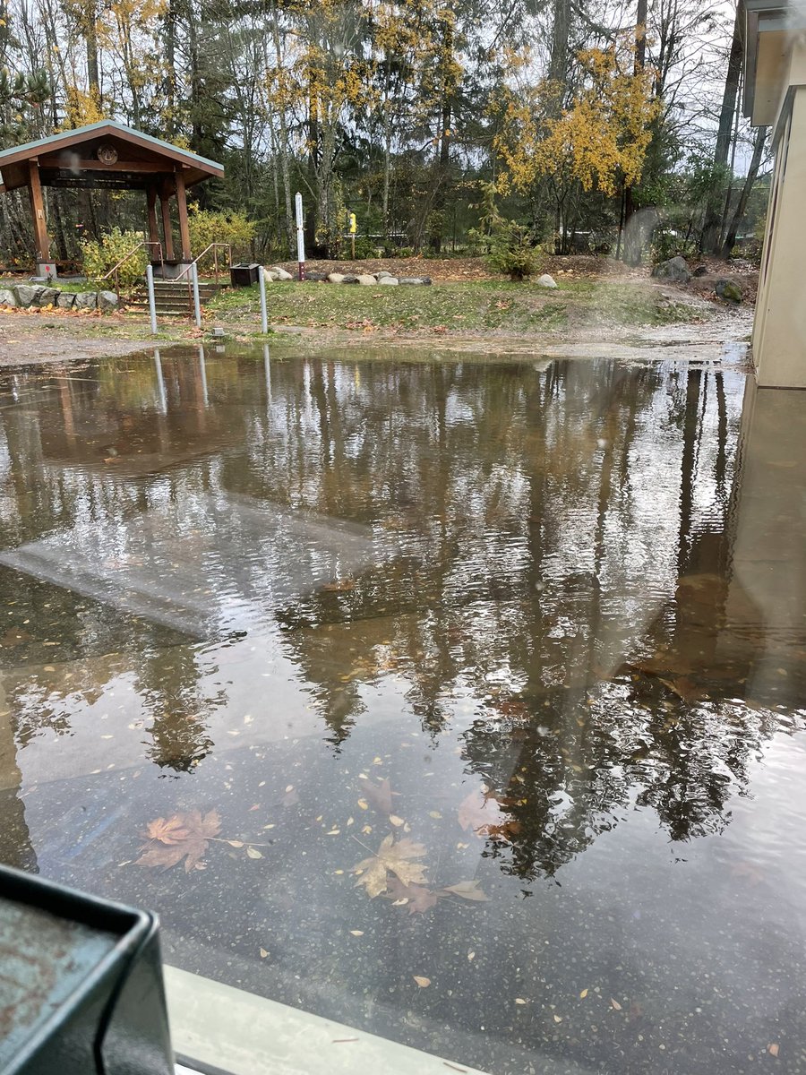 mswolfsclass's tweet photo. Already loving teaching and living in BC where there are a lot of wildlife sightings on community walks &amp; outdoor recess everyday even when the blacktop is a lake 😂 #alwaysbeprepared https://t.co/Sa5jp1v8WR