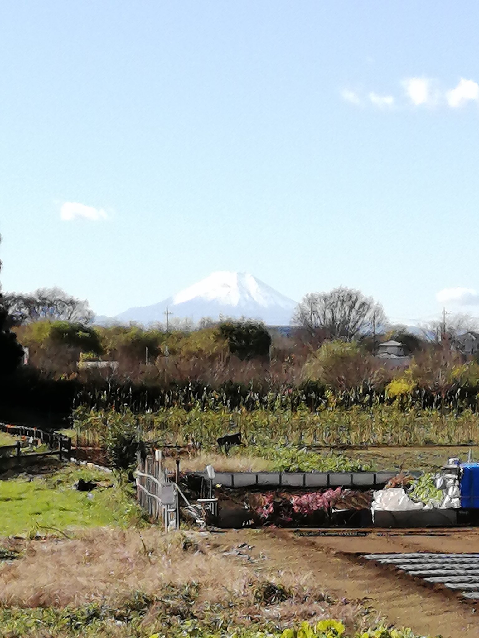 ほたお 昨日は娘と小金井公園でデート ソリ遊びをしてきました イチョウ並木キレイだった 今日は清瀬まで9キロラン 富士山キレイでした 小金井公園 いちょう並木 ソリ 清瀬市 富士山 ランニング好きと繋がりたい 娘とデート ランニング
