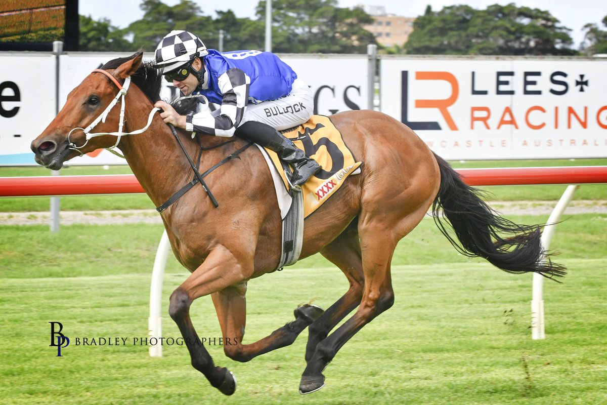 ausbloodstock2's tweet photo. SPELLCATCHER looked good over the 1200m yesterday with an impressive 1st up @newcastleraces_ win!

@Leesracing @Aaronbullock90 💪

📸 @Bradley_Photos 

Winners page 👇
https://t.co/NU7FScjgLv https://t.co/ZRdmcMLhOn