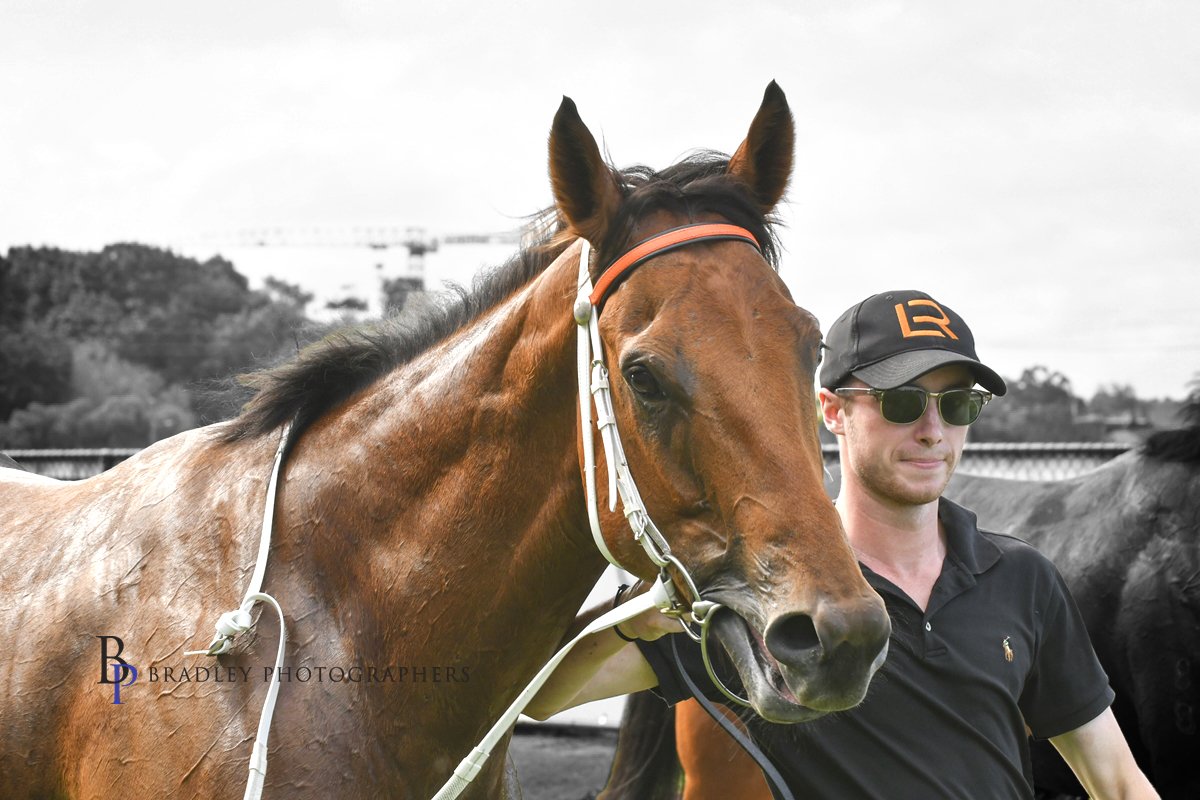 ausbloodstock2's tweet photo. SPELLCATCHER looked good over the 1200m yesterday with an impressive 1st up @newcastleraces_ win!

@Leesracing @Aaronbullock90 💪

📸 @Bradley_Photos 

Winners page 👇
https://t.co/NU7FScjgLv https://t.co/ZRdmcMLhOn