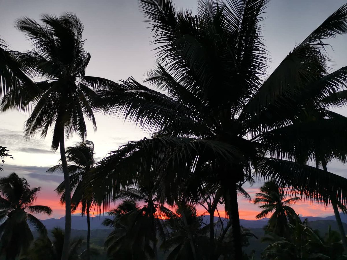 crnlhr's tweet photo. ☁️🌇🌴 https://t.co/r4sTLh9ELl