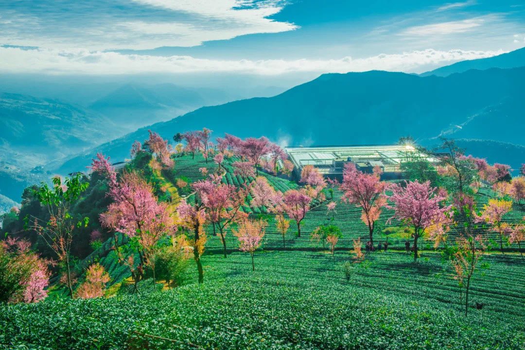 masike6455's tweet photo. 历史上的人

历史上的首富:
许家印，高调，企业负债2w亿，多地工地停工停产，球员的工资都发不起。
马云，高调，口出狂言后，被调查，湖畔大学停课，终于挺过难关，但是很难公开露面演讲了。钟睒睒，虽然人人都用他的产品，几乎没几个人叫出他的名字。说��什么呢？做事不能太张扬，低调务实更靠谱。 https://t.co/sJJBFzhlu7