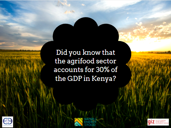 Eenovators's tweet photo. Did you know that the agri-food sector accounts for 30% of the GDP in Kenya?
#ESCO4Efficiency
@WE4FGCD https://t.co/jj2dKlr9Jv