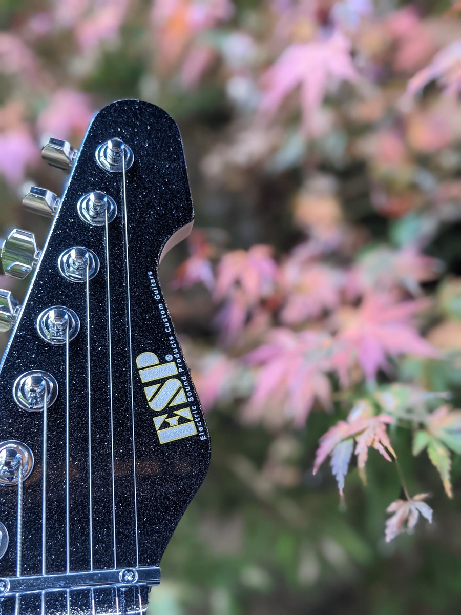 bigbosskyoto's tweet photo. 「MEET THE ESP」本日の一本！
M-SEVENのTitan Metalです✨エクストラロングスケール採用、ダイレクトマウント・ピックアップ等7弦ギターに求められる要素をより明確に定義した一本です🎶
#espguitars #mseven #エレキギター #京都 #BigBoss https://t.co/FLS07hMK9Q