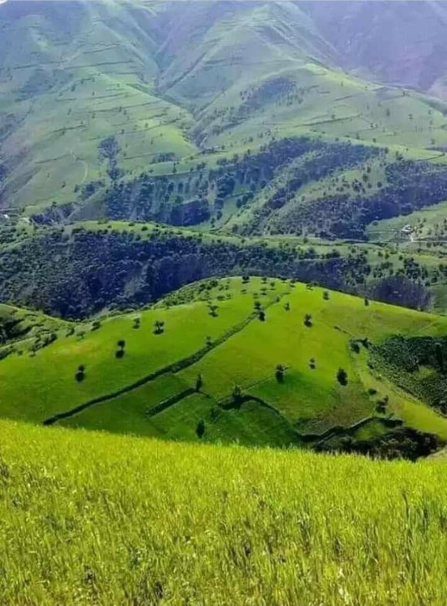 FreeVet84's tweet photo. Northern Takhar Province
#Takhar #Farkhar #KokchaRiver #Afghanistan #Kabul #Nature #LetAfghanWomenWork #LetAfghanGirlsLearn https://t.co/na7M7RFCKX