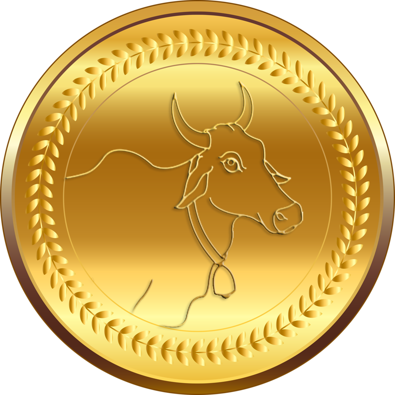 amabirdman's tweet photo. Move over, DogeCoin. 
GauCoin will be here soon. 

#cryptobanindia #cryptocurrency https://t.co/jhrmgcApT4