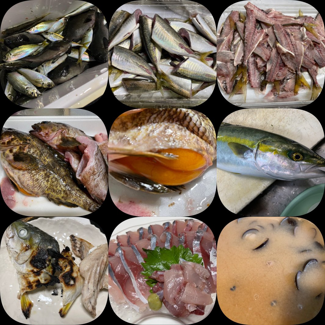 ハマチは親戚にもろたやつやし、 しじみも潮干狩りしたやつやけど、 魚は自分らで釣れたやつやで、 すごい料理やなツレ🙌🙌