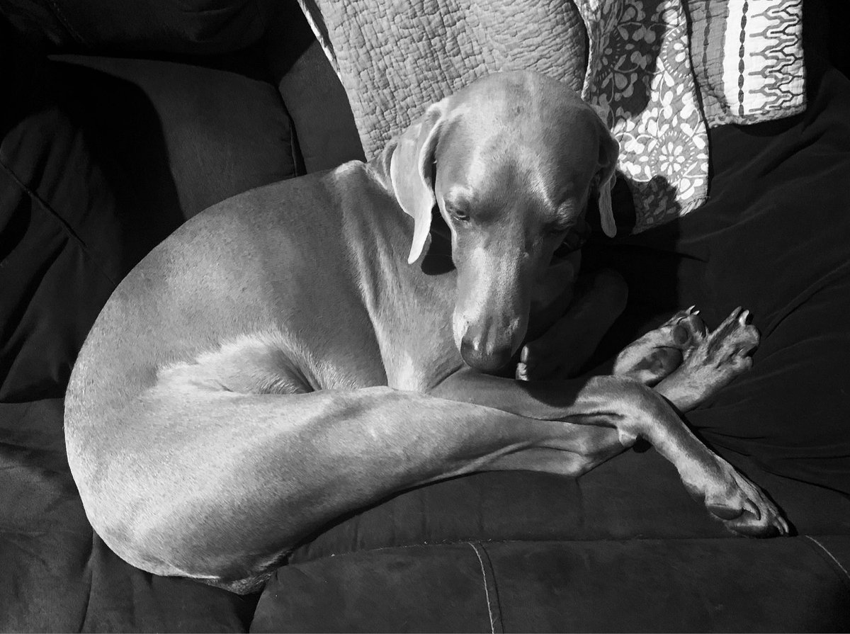 Karen Swallow Prior (Notorious KSP) tweet media