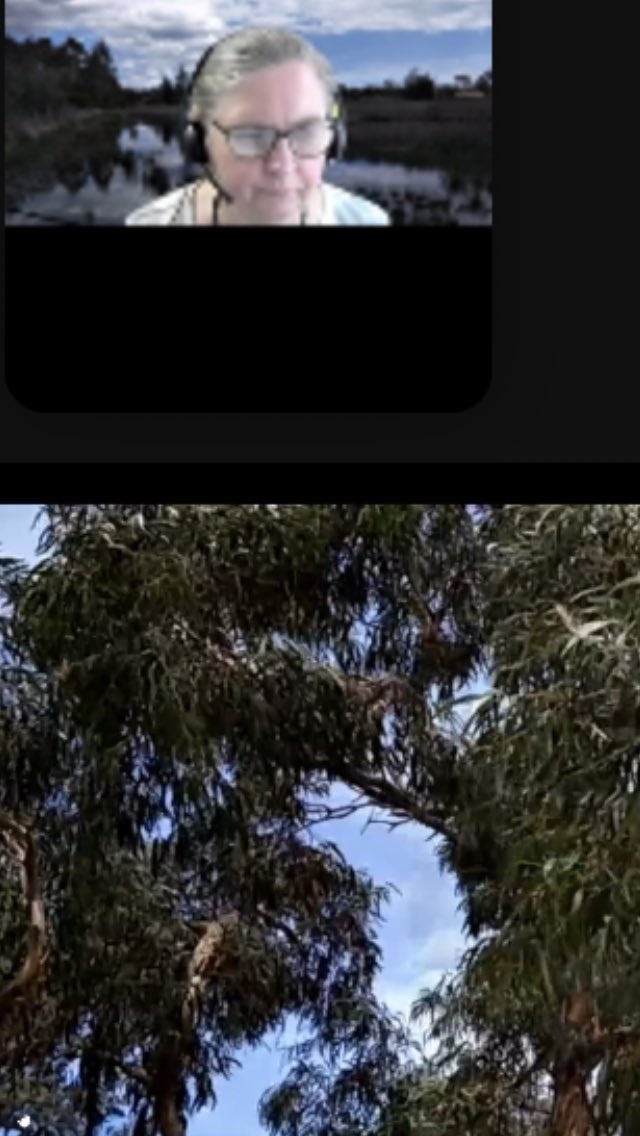 suehallpyke's tweet photo. #ASLECANZ21 @a_f_elvey feeling the breath of wind from the face of the deep, to the sacred ghost to seeds that cannot be planted (and yes, pollutant wind) in atmospheric poetry including her own short poetic work co-voiced with the wind: ‘you ebb you flow like a liquid’ https://t.co/SlsiRyNF53